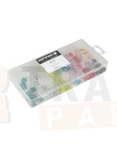Ionnic ATM Mini Blade Fuse Kit - 100 Pieces