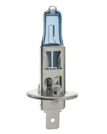 Hella  H1 High Performance Halogen Globe (C24100) 